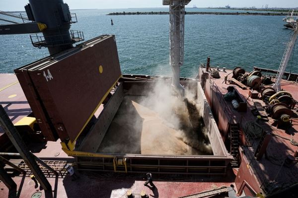 Украинское зерно, турецкий порт. Киев просит арестовать судно с грузом из Бердянска