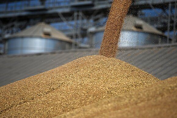 Власти России перевели расчеты за зерно в рубли