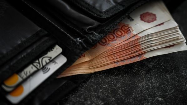 Новый вид некредитных финансовых организаций может появиться в России